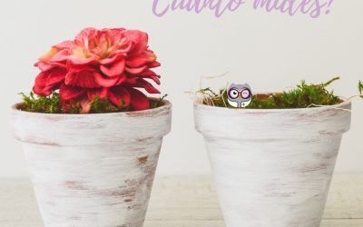 ¿Cuánto mides?