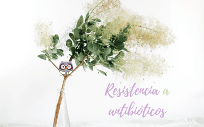 ¿Usas correctamente los antibióticos?